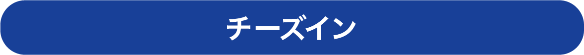 チーズイン